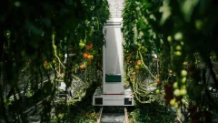 Eternal.ag raises €8M to automate greenhouse harvesting with AI-powered robots